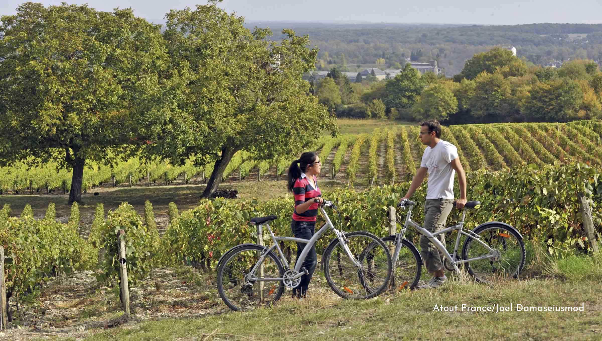 wine tour in the loire valley